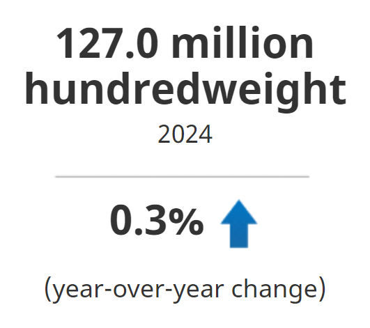 production rose 0.3% year over year in 2024 to 127.0 million hundredweight 