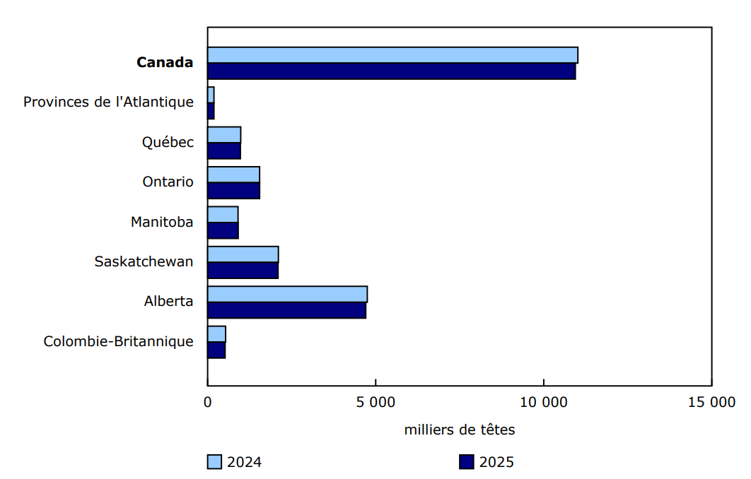 Graphique 1 - Total des stocks de bovins au 1er janvier 2024 et au 1er janvier 2025