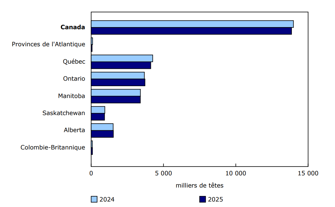 Graphique 2 - Total des stocks de porcs au 1er janvier 2024 et au 1er janvier 2025