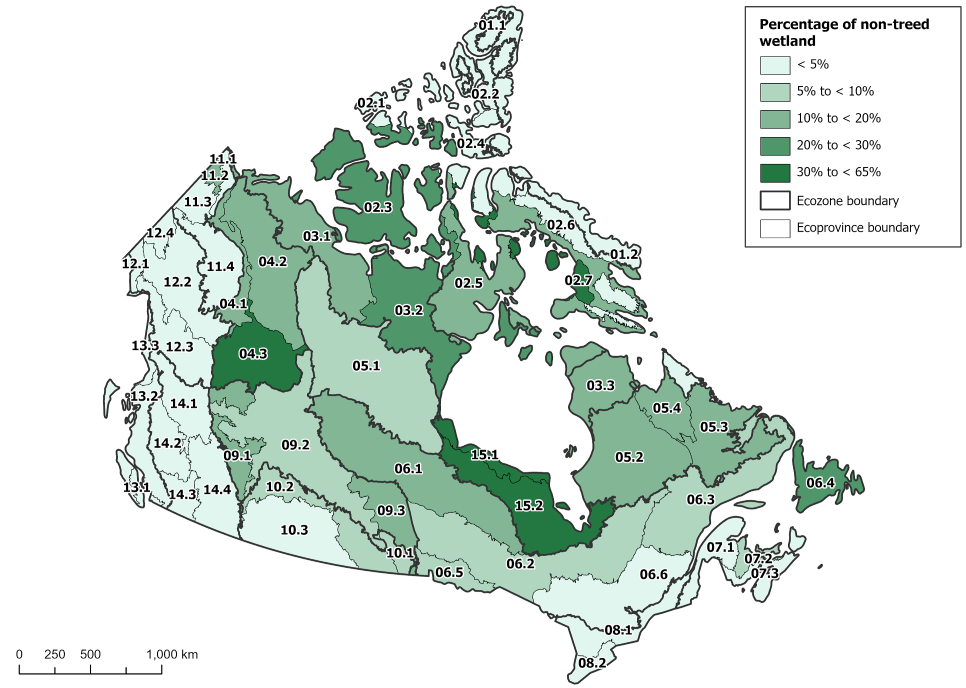 Map 2: Non-treed wetland as percentage of total area, by ecoprovince, 2020