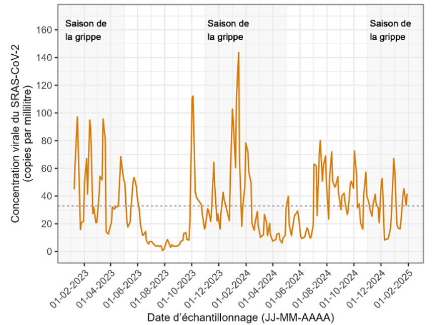 Graphique 2 - Les niveaux du virus SRAS-CoV-2 dans les eaux usées d'Halifax