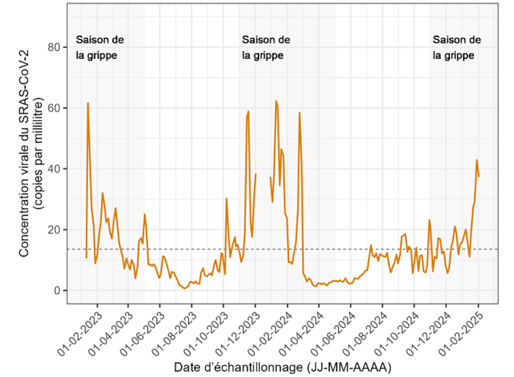 Graphique 4 - Les niveaux du virus SRAS-CoV-2 dans les eaux usées de Montréal