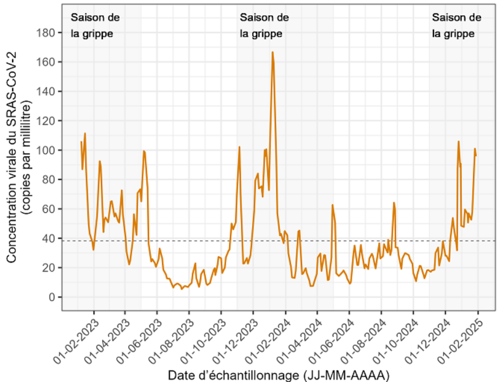 Graphique 5 - Les niveaux du virus SRAS-CoV-2 dans les eaux usées de Toronto