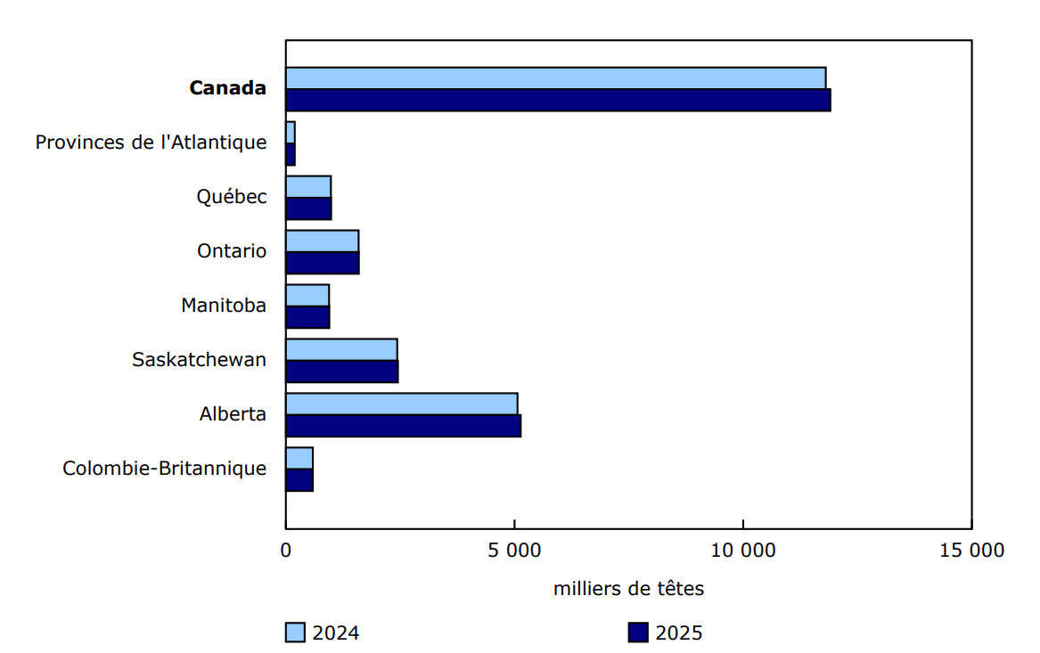 Graphique 1 - Total des stocks de bovins au 1er juillet 2024 et au 1er juillet 2025