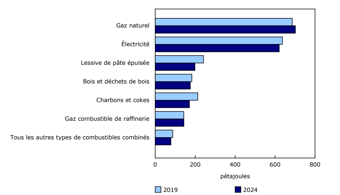 Graphique 3 - Type d'énergie consommée par le secteur de la fabrication, 2019 et 2024