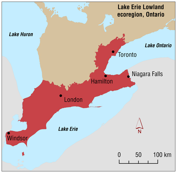 Map 15.3 Lake Erie Lowland ecoregion, Ontario