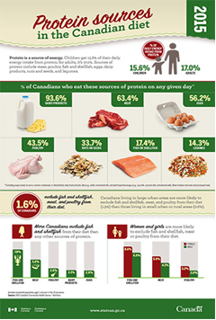 Infographic thumbnail - Protein sources in the Canadian diet
