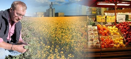 Illustration for the Agriculture–Population Linkage Data publication merging three pictures. The first one shows a farmer looking at his canola field. The second is a canola field. The third one shows a display of food in a grocery store.