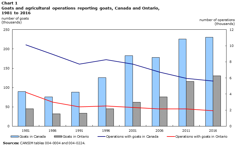 Chart 1 Goats and agricultural operations reporting goats, Canada and Ontario, 1981 to 2016