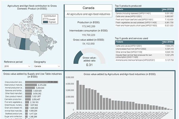 Agriculture and Agri-Food Economic Account