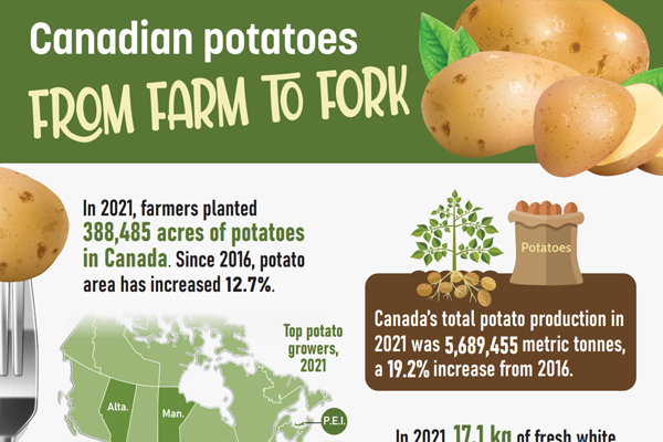 Canadian potatoes, from farm to fork