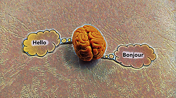 Considérations sur les biais dans le traitement bilingue des langues naturelles