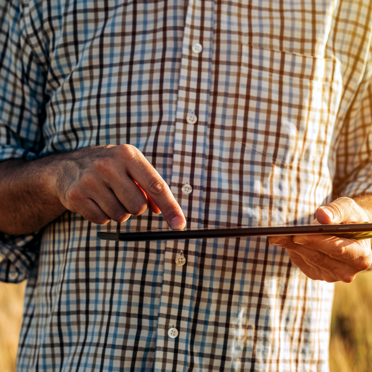 Agriculteur avec tablette numérique dans un champ de blé
