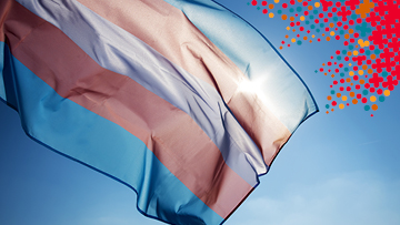 Un drapeau transgenre