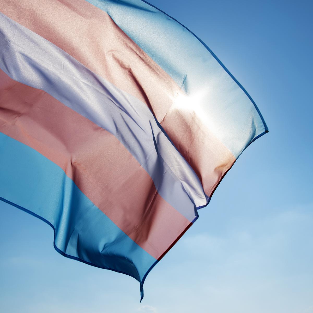 Un drapeau transgenre