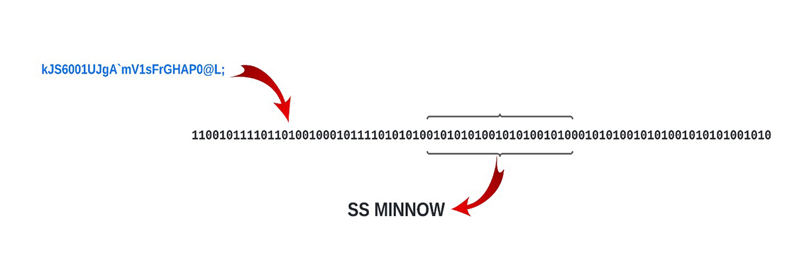 Figure 1: Extracting data from the payload requires it to be converted to binary