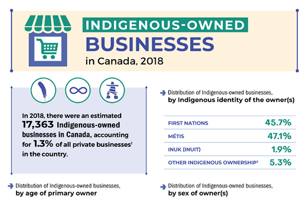 Indigenous-owned businesses in Canada, 2018