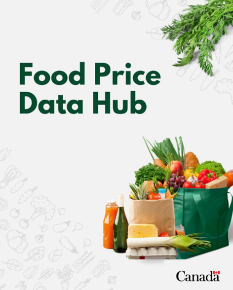 Promotional image for the Food Price Data Hub