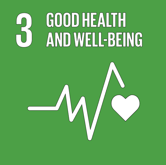Goal 3: Support Mental Health and Adopt Healthy Behaviour
