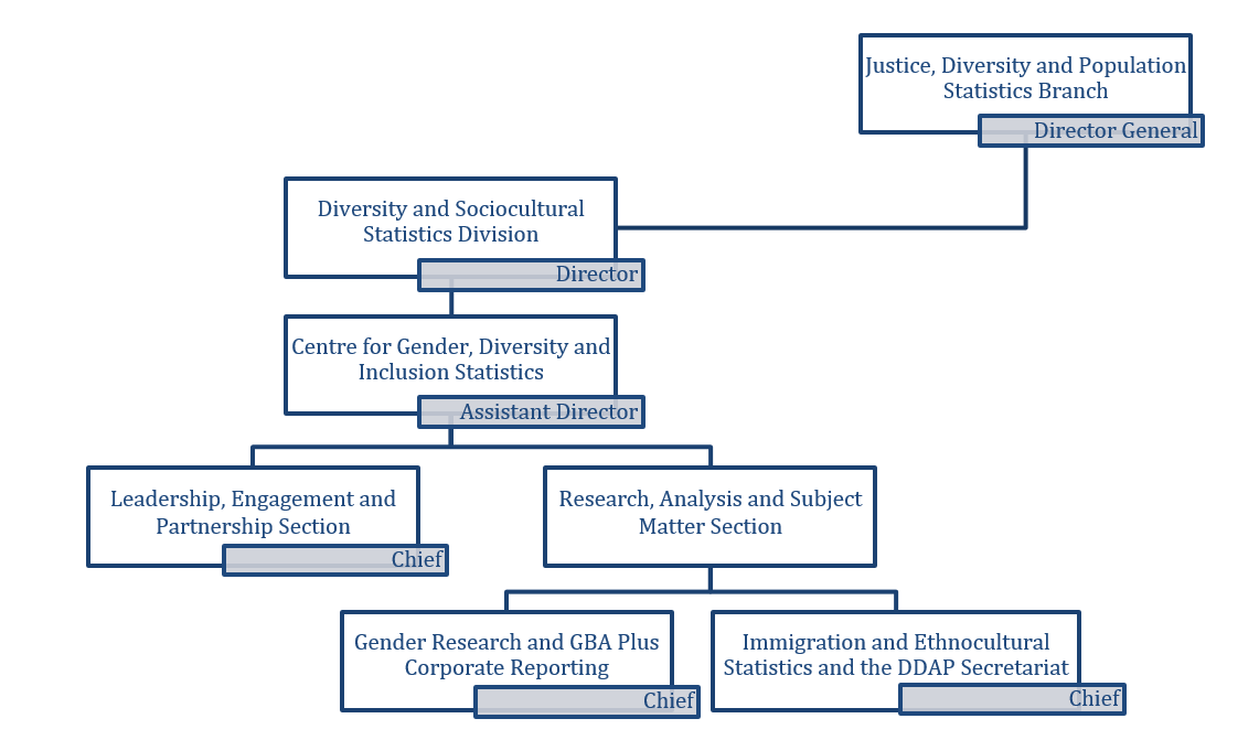 The figure 1 depicts the structure of the Centre for Gender, Diversity and Inclusion Statistics (CGDIS) at the time of the evaluation.