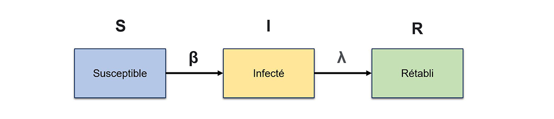 Figure 1 – Structure d’un modèle épidémiologique de base