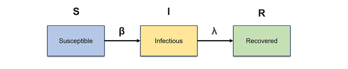 Figure 1 – Structure of a basic epidemiological model