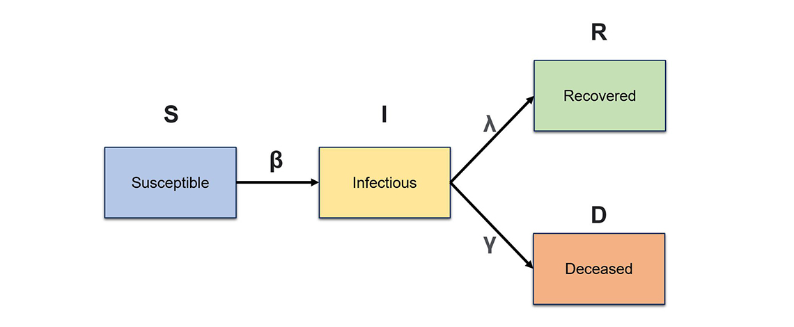 Figure 2 – Structure of a SIRD epidemiological model