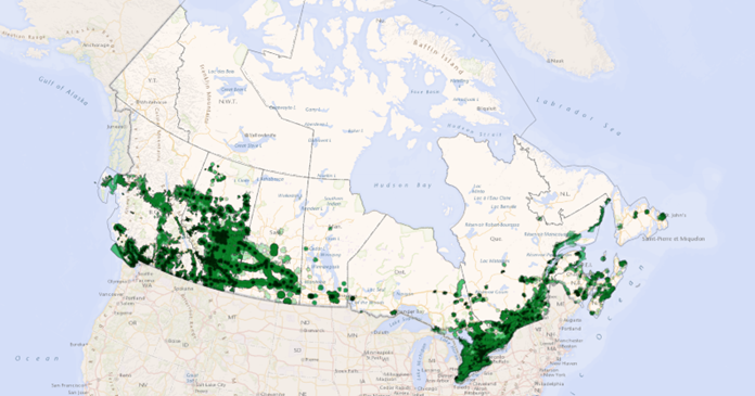 5G coverage map 