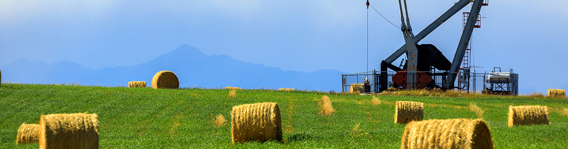 Census of Environment: Nature—a driver of economic activity