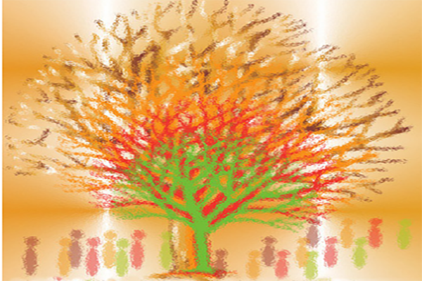 Guide technique des estimations démographiques à Statistique Canada