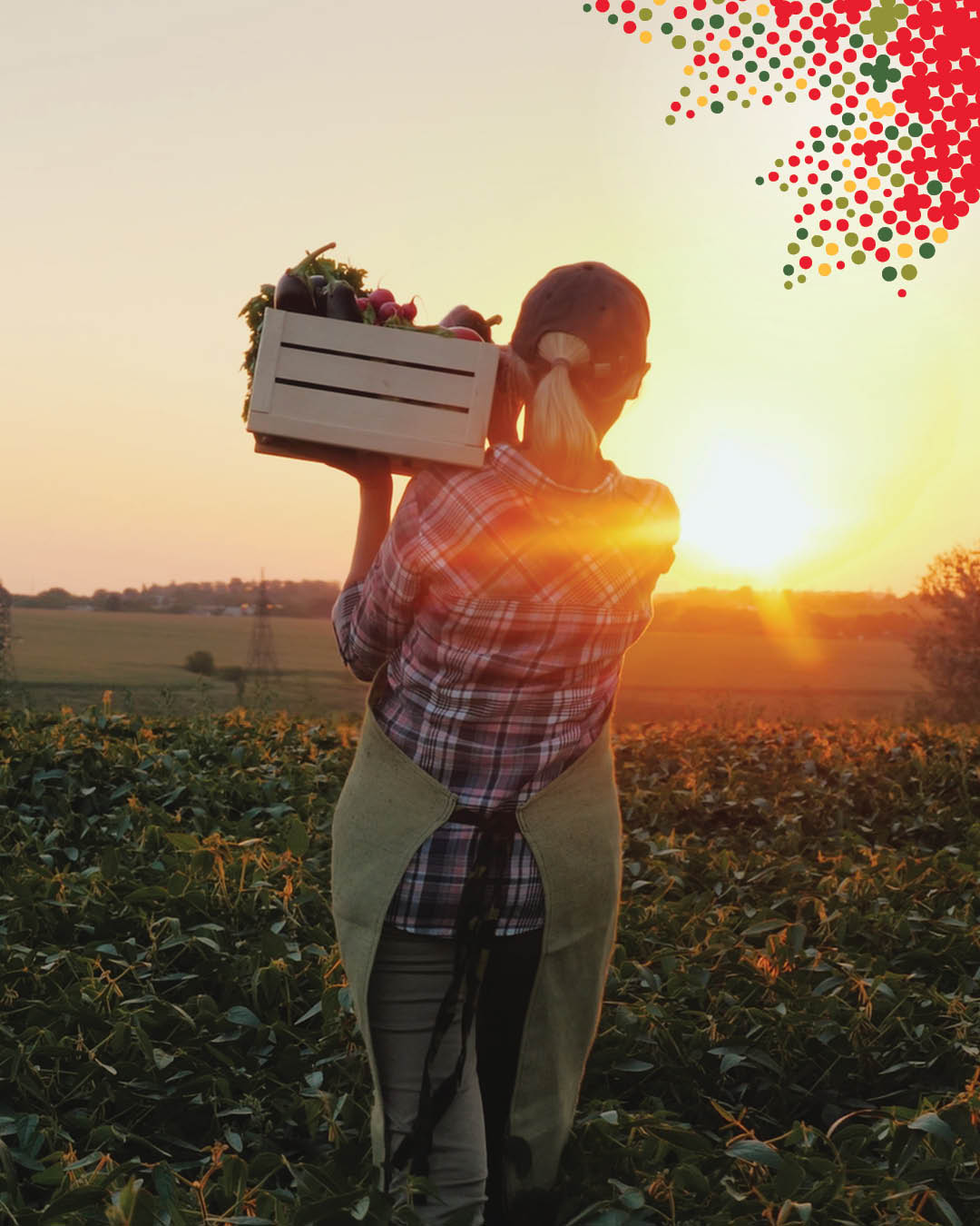 Photo of a person carrying a crate of vegetables.