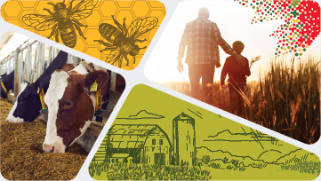 Census of Agriculture 