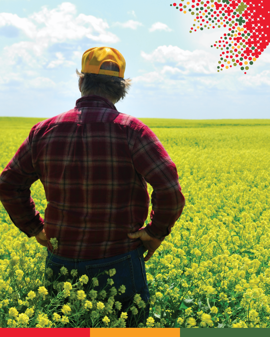 Photo d’un agriculteur debout dans un champ.