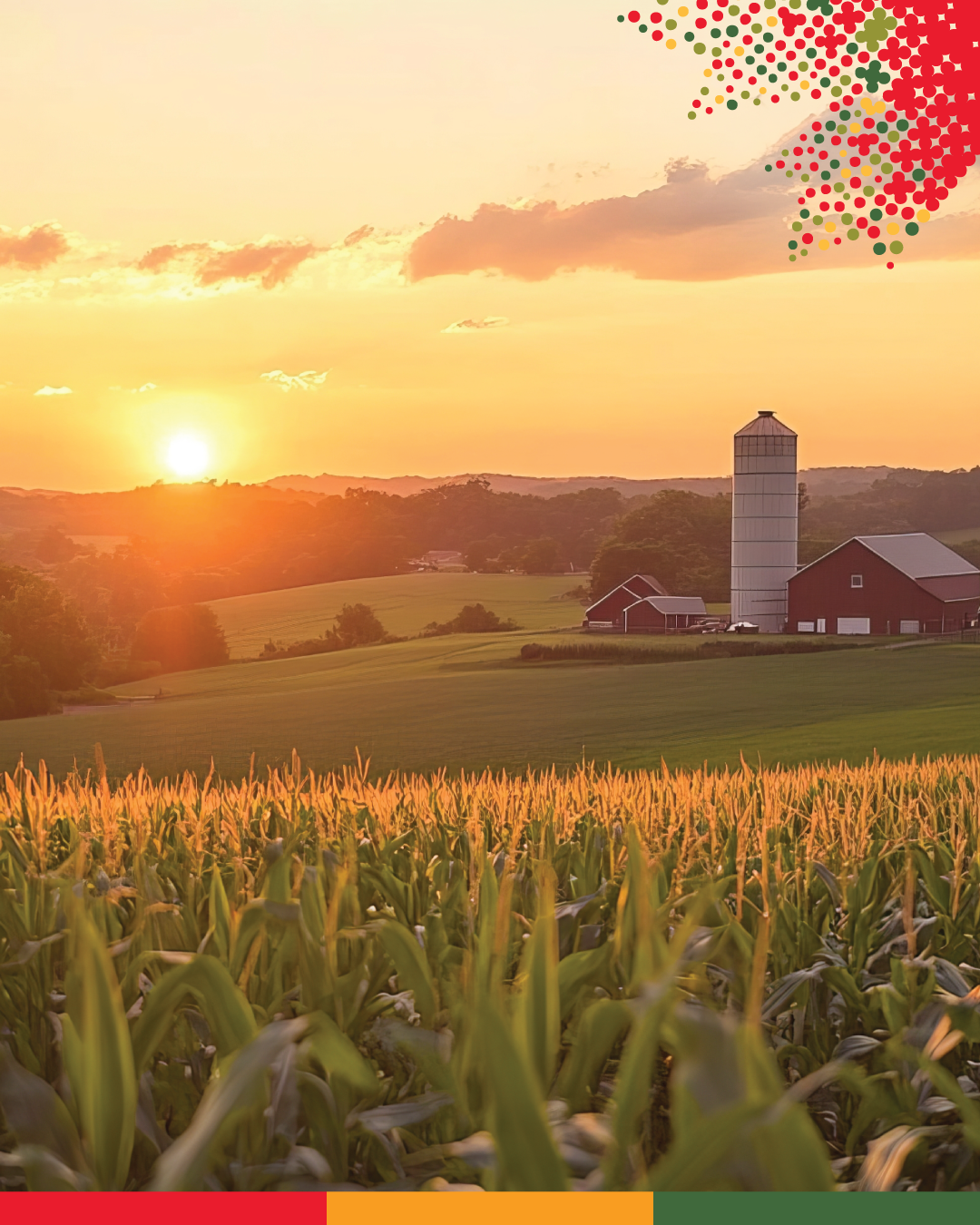 Photo d’un coucher de soleil sur une ferme.