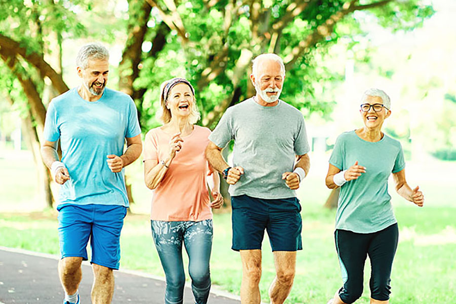Functional health of Canadian adults, 2015 to 2024