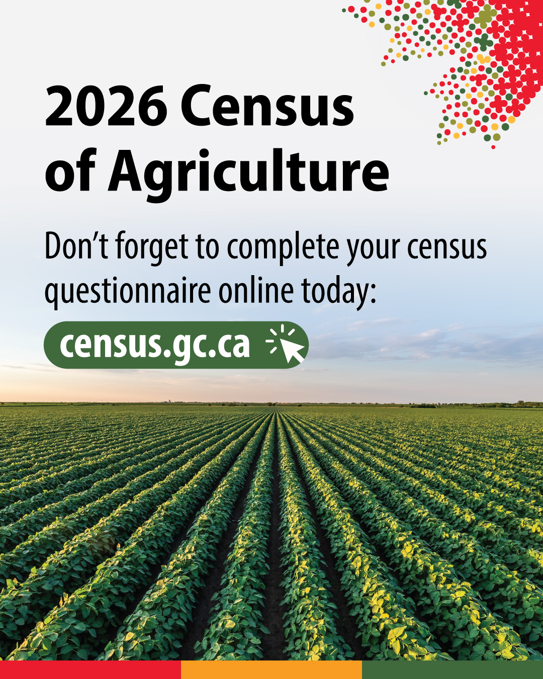 (Photo of a field with plants arranged in distinct rows.) 2026 Census of Agriculture. Don't forget to complete your census questionnaire online today: census.gc.ca