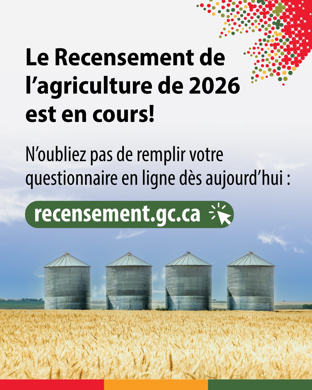 (Photo de quatre silos à grains dans un champ.) Le Recensement de l'agriculture de 2026 est en cour! N'oubliez pas de remplir votre questionnaire en ligne dès aujourd'hui : recensement.gc.ca