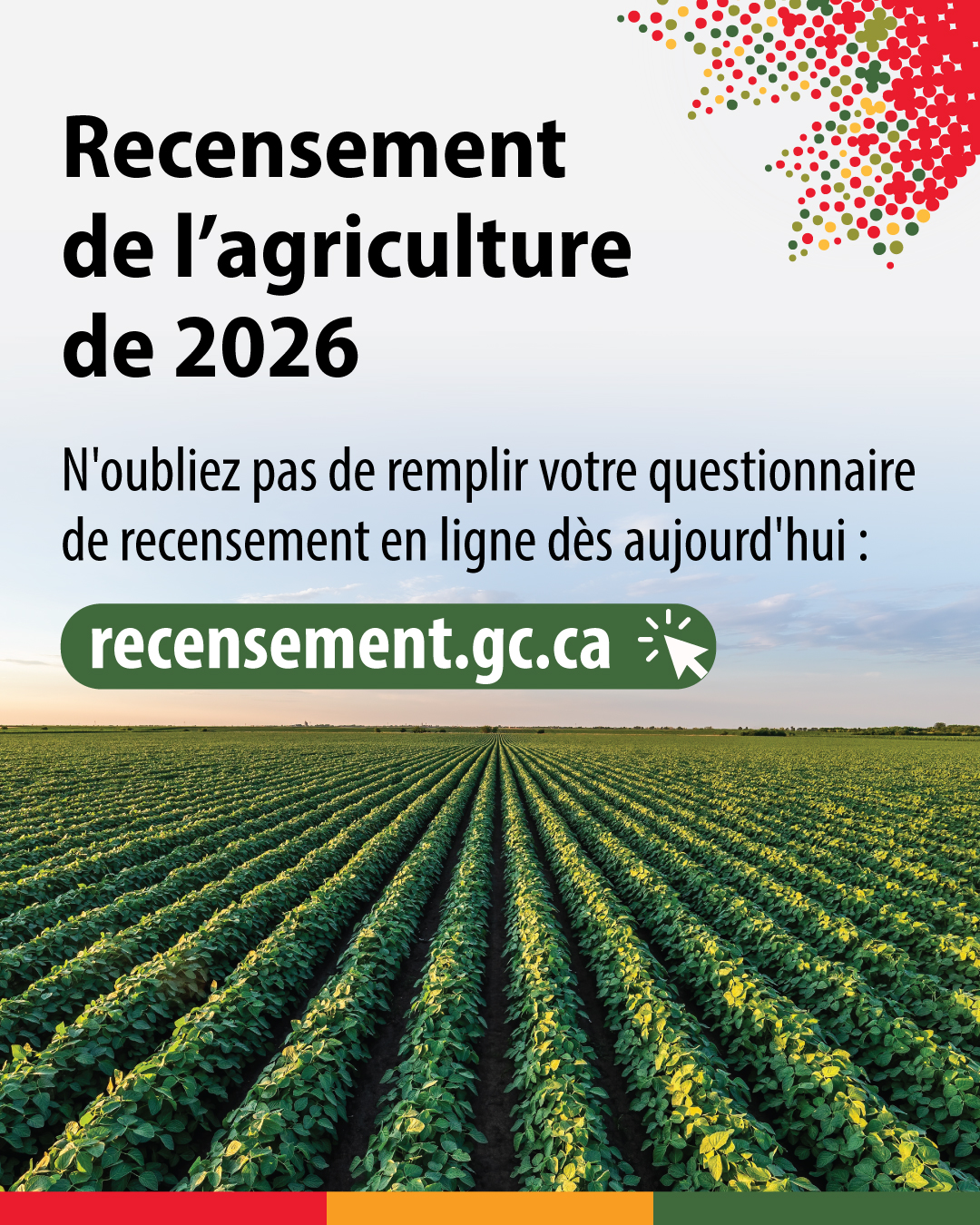 (Photo d'un champ où les plantes sont disposées en rangées bien distinctes.) Recensement de l'agriculture de 2026. N'oubliez pas de remplir votre questionnaire de recensement en ligne dès aujourd'hui : recensement.gc.ca