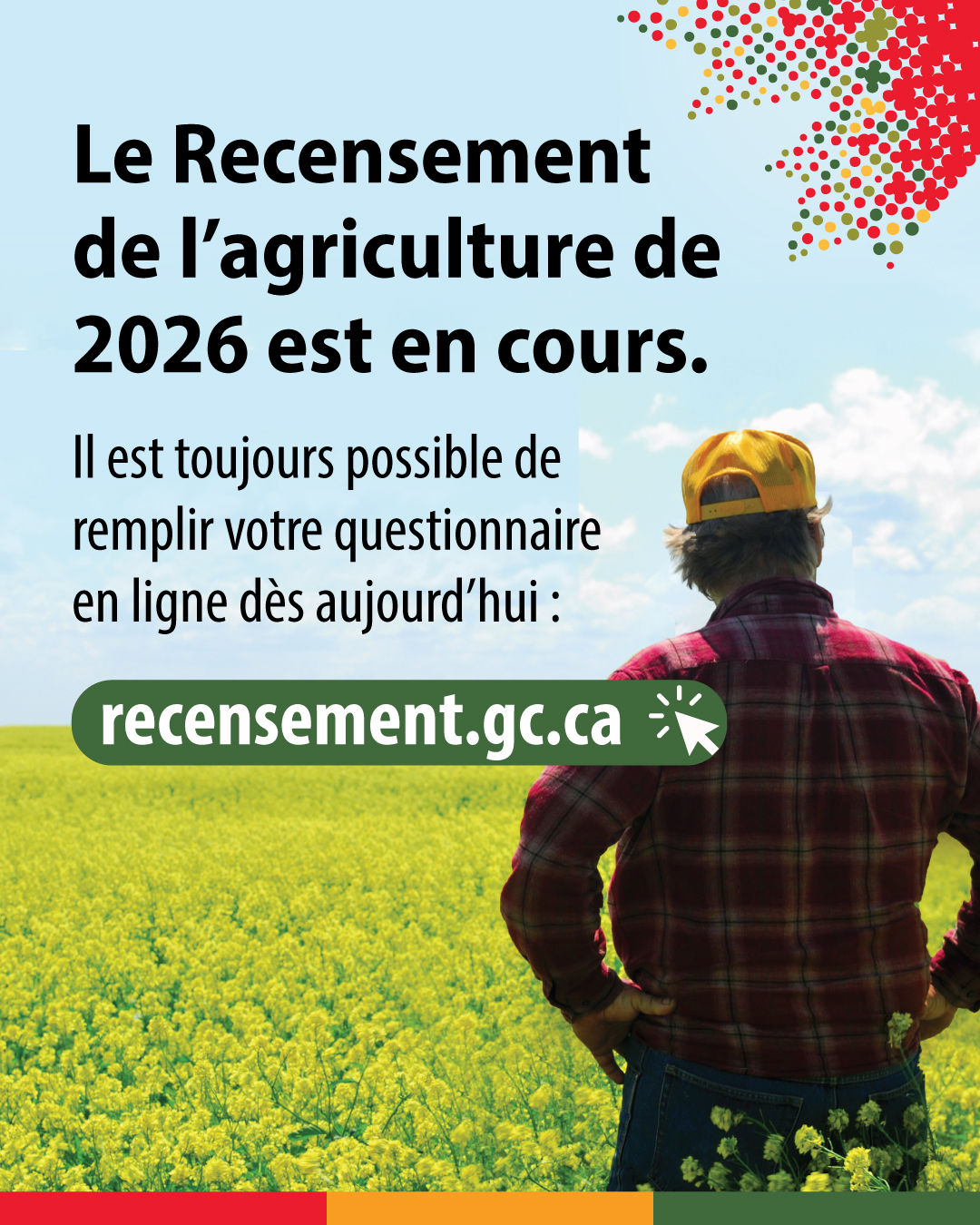 (Silhouette d'un agriculteur debout dans un champ.) Le Recensement de l'agriculture est en cour. Il est toujours possible de remplir votre questionnaire en ligne dès aujourd'hui : recensement.gc.ca