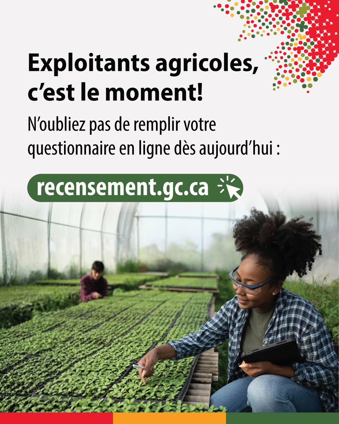 (Photo d'un agriculteur dans une serre.) Exploitants agricoles, c'est le moment. N'oubliez pas de remplir votre questionnaire en ligne dès aujourd'hui : recensement.gc.ca