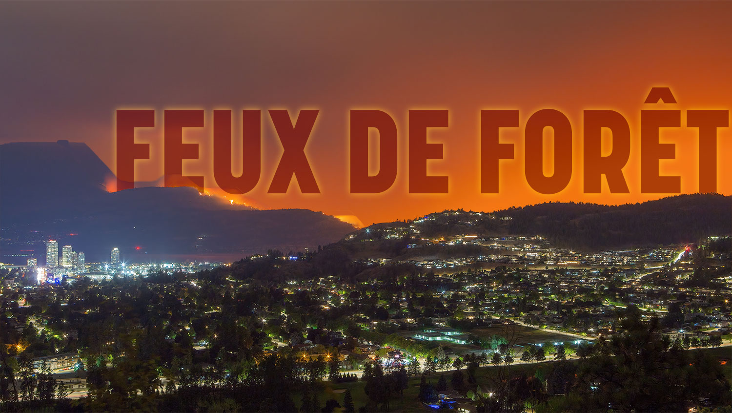 Feux de forêt 