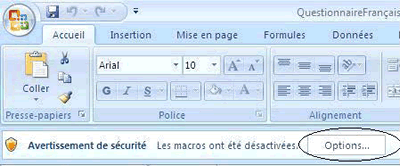 La figure 10a illustre une partie de la barre d'outils Microsoft. Pour ouvrir le questionnaire et activer les macros, cliquez sur le bouton 'Options' affiché dans l'avertissement de sécurité. La figure 10a illustre une partie de la barre d'outils Microsoft. Pour ouvrir le questionnaire et activer les macros, cliquez sur le bouton 'Options' affiché dans l'avertissement de sécurité.