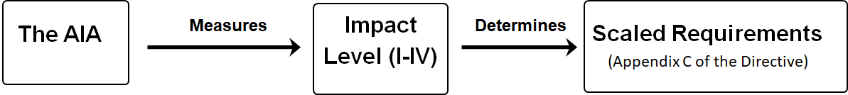 Demonstrates the flow an AI project will take, starting with the Algorithmic Impact Assessment to measure the impact level and determine the requirements outlined in Appendix C of the Directive.