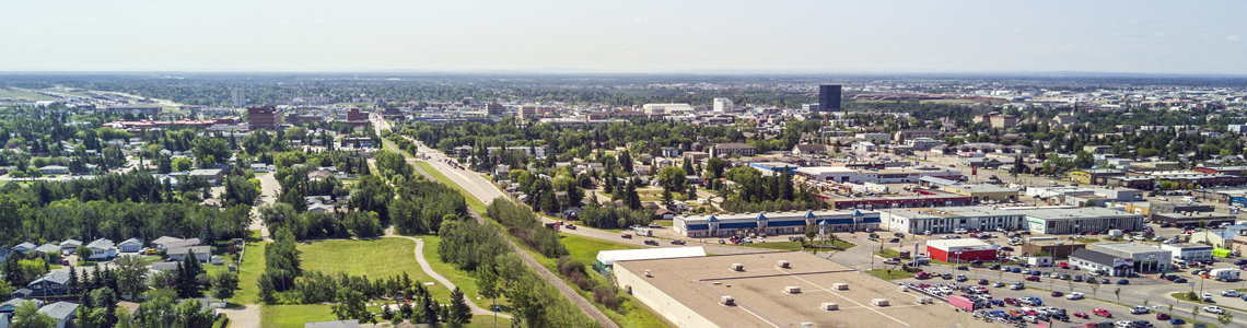 Recensement de l'environnement : verdure urbaine, 2023 