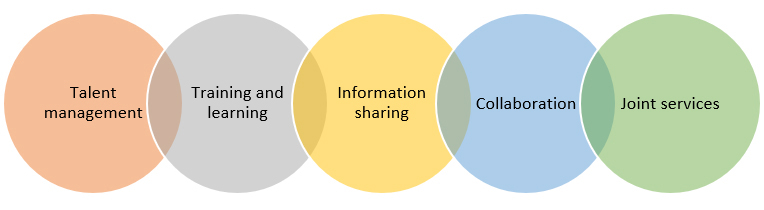 Figure 4 – The Data Science Network's Five Areas of Focus