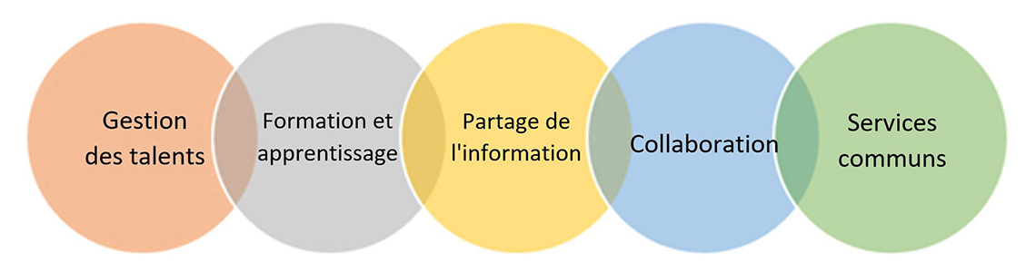 Figure 4 – Les cinq domaines d'intérêt du Réseau de la science des données pour la fonction publique fédérale