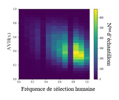 Figure 4:Fréquence de sélection humaine par opposition à la dureté visuelle angulaire