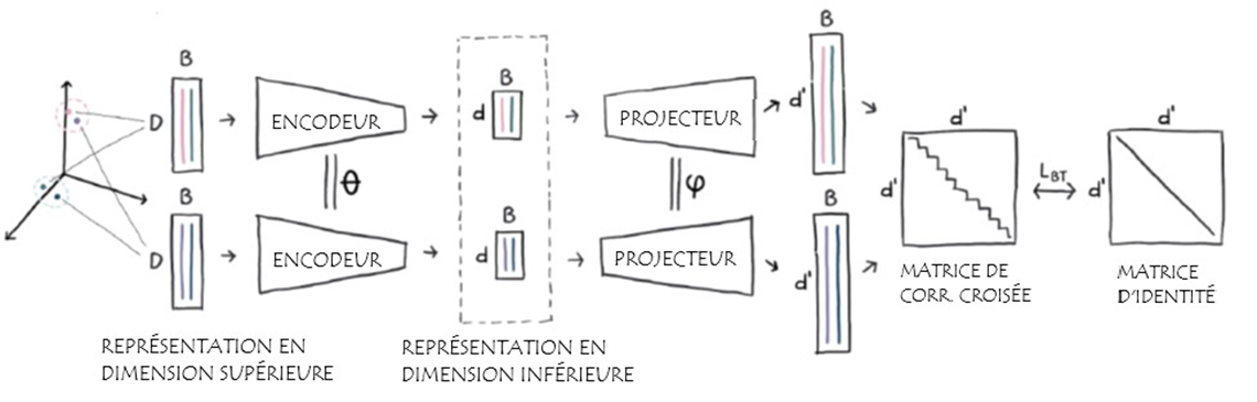 Figure 2 : Représentation en dimension supérieure et inférieure
