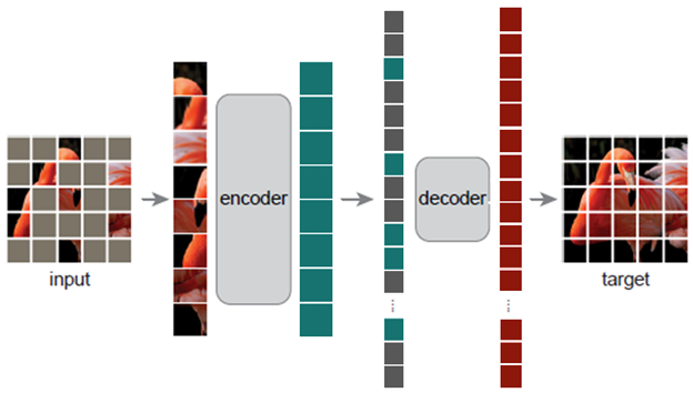 Figure 2: Masked autoencoder architecture. 75% of the pixel patches are masked and then reconstructed as a pretraining task.