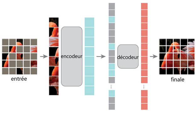 Figure 2 : Architecture d'un autocodeur masqué, dans laquelle 75 % des blocs de pixels sont masqués, puis reconstruits comme tâche de préentraînement.